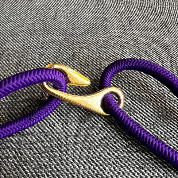 Gold and Purple Monogram Vintage Belt coin - Picture 3 of 3